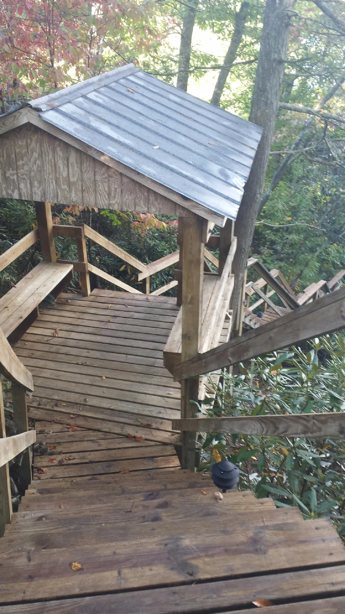 Metal roofed shelter over wooden steps on a wooded walkway in Bay City